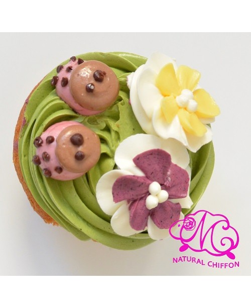 CA032 甲蟲 Cupcake